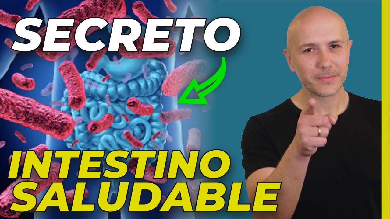 Alimentos ricos en probióticos para mejorar la salud intestinal