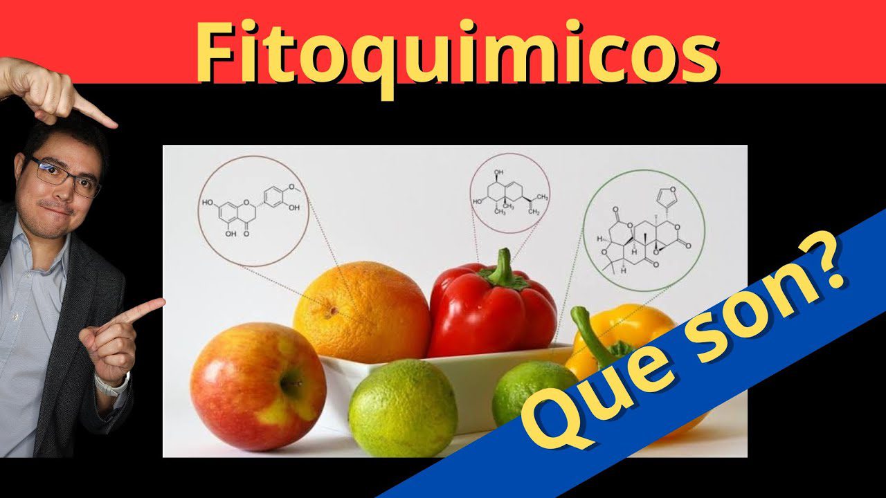 Cómo optimizar la salud general con una dieta rica en fitoquímicos