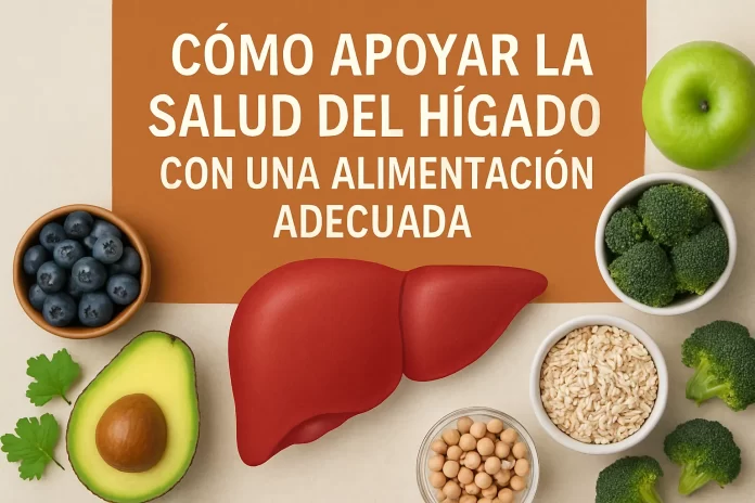 Cómo apoyar la salud del hígado con una alimentación adecuada