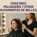 cnae 9602 - peluquería y otros tratamientos de belleza