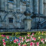 Stone historic building with arched windows and a decorative balustrade, foregrounded by a pink-and-white tulip garden.