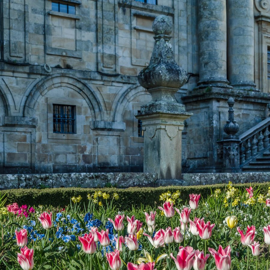 Stone historic building with arched windows and a decorative balustrade, foregrounded by a pink-and-white tulip garden.