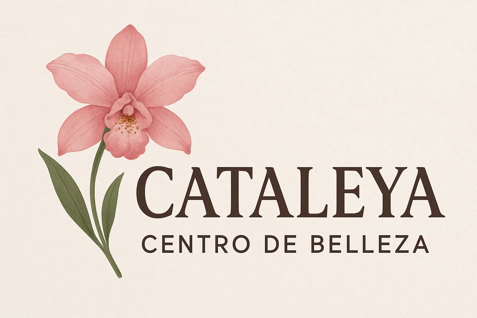 cataleya-centro-de-belleza - Revista DeBelleza.Es cataleya centro de belleza