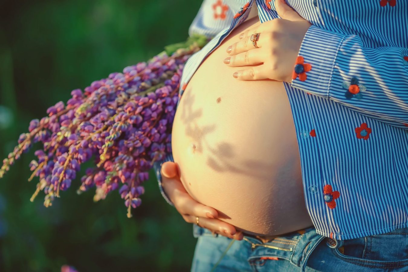 Pregnant woman holding her belly and flower - Love concept Pregnancy concept - Revista DeBelleza.Es Pregnant belly cradled by hands, wearing a blue striped shirt with red flowers, outdoors with a purple flower bouquet nearby