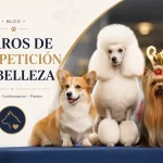 perros de competición de belleza